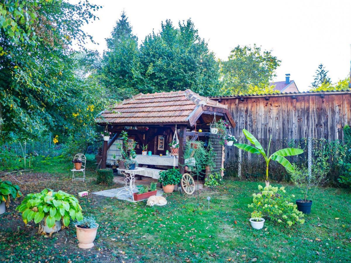 Apartment Dubovac Karlovac Zewnętrze zdjęcie