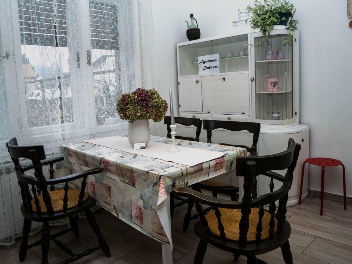 Apartment Dubovac Karlovac Zewnętrze zdjęcie