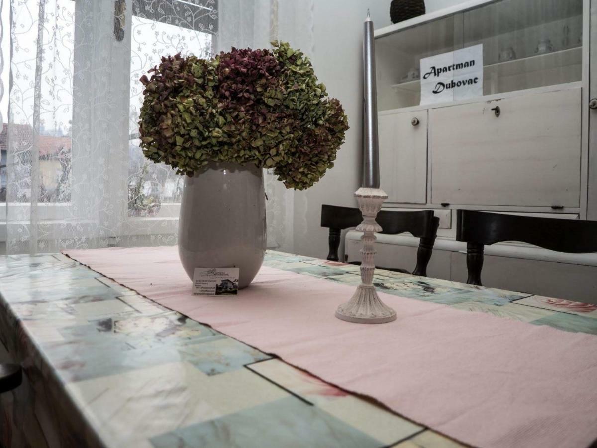 Apartment Dubovac Karlovac Zewnętrze zdjęcie